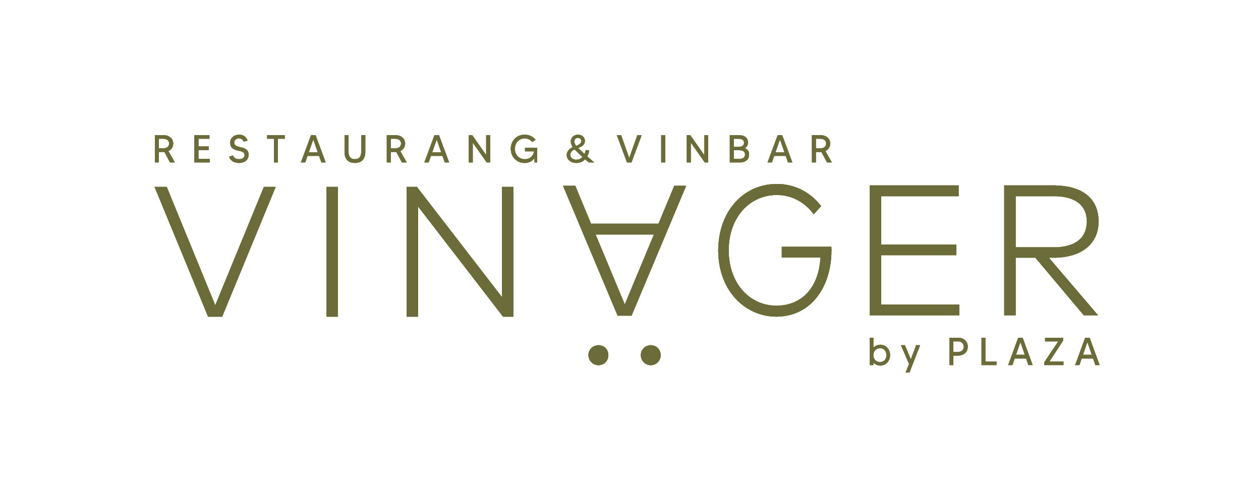 Vinager By Plaza