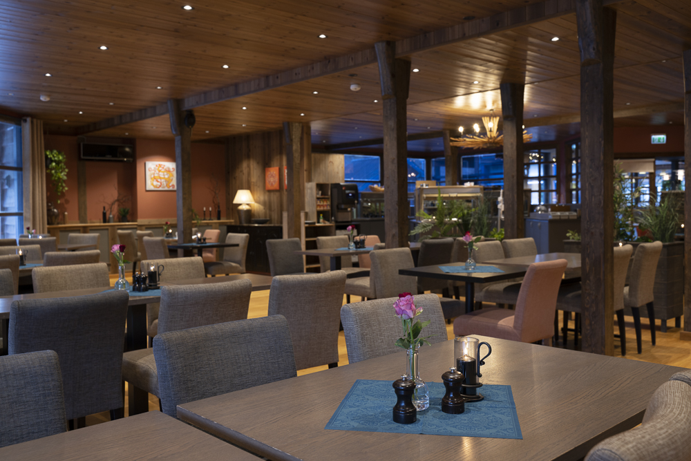 Ægir BrewPub at Flåmstova