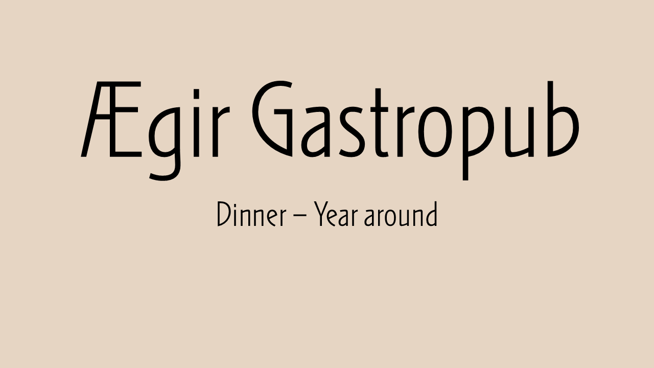 Dinner at Ægir Gastropub
