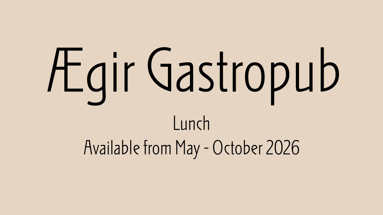 Lunch at Ægir Gastropub 