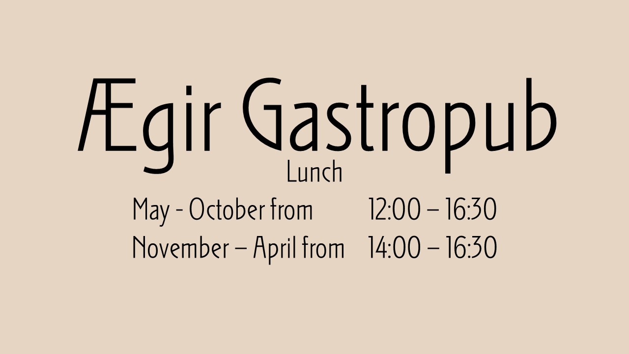 Lunch at Ægir Gastropub 
